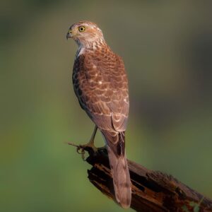 WhatsApp Image 2024-07-02 at 8.43.39 AM